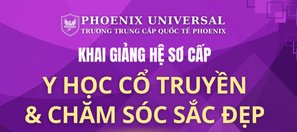 Tại sao nên học Y học cổ truyền hệ trung cấp tại Phoenix?