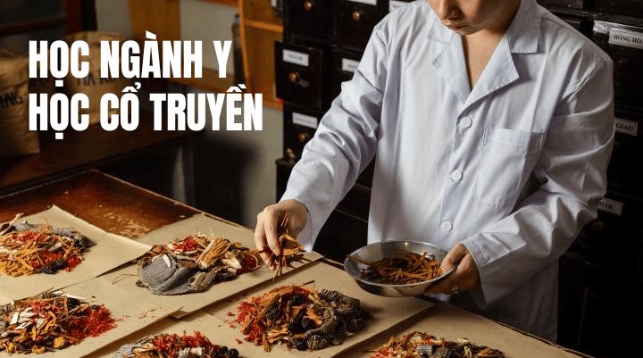 Chia sẻ kinh nghiệm: Học Y học cổ truyền có thực sự khó không?